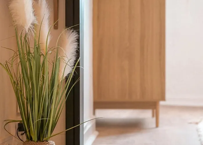 Apartamento Tres Bel Coeur De D'angers - 2 Personnes Angers